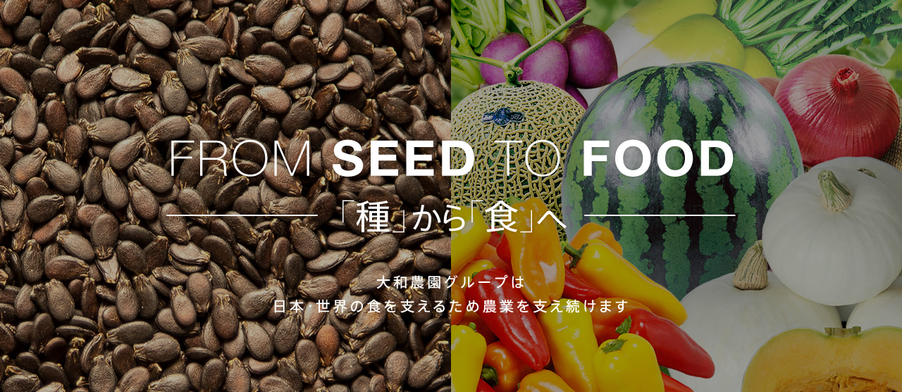 From seed to food
