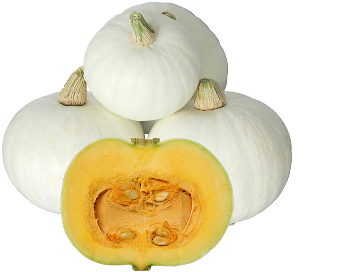 しろまろ かぼちゃ 果菜類 品種詳細 大和農園