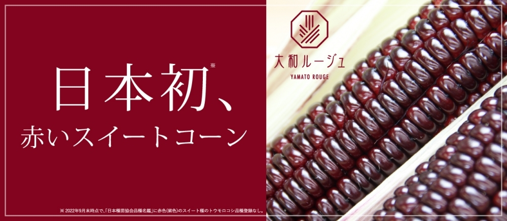 日本初！赤いスイートコーン『大和ルージュ』を新発売！！ | リリース | 大和農園