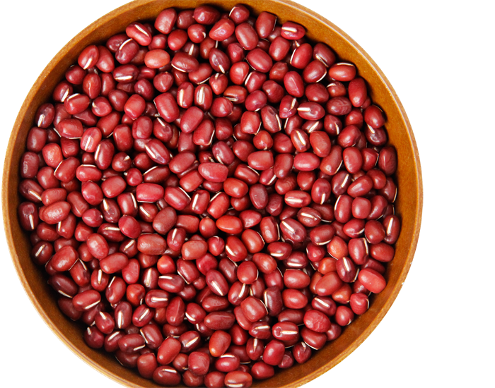 丹波大納言小豆 | 小豆 | 豆類 | 品種詳細 | 大和農園