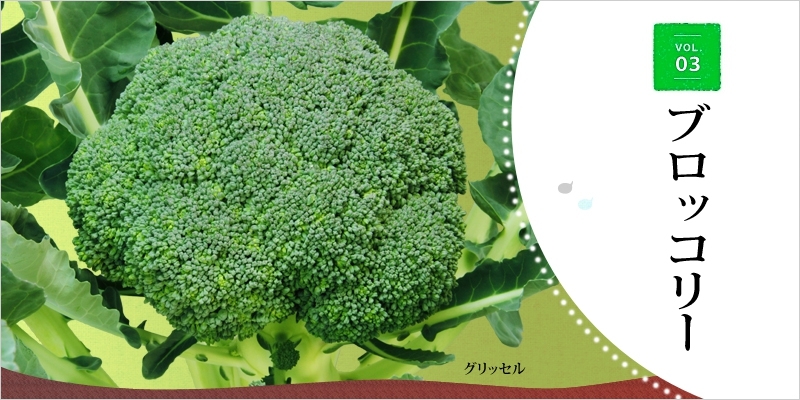 もっと知りたい野菜づくり ブロッコリー編 Vol 03 特集 大和農園