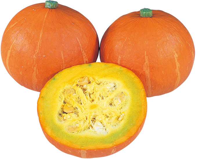 大和路 かぼちゃ 果菜類 品種詳細 大和農園